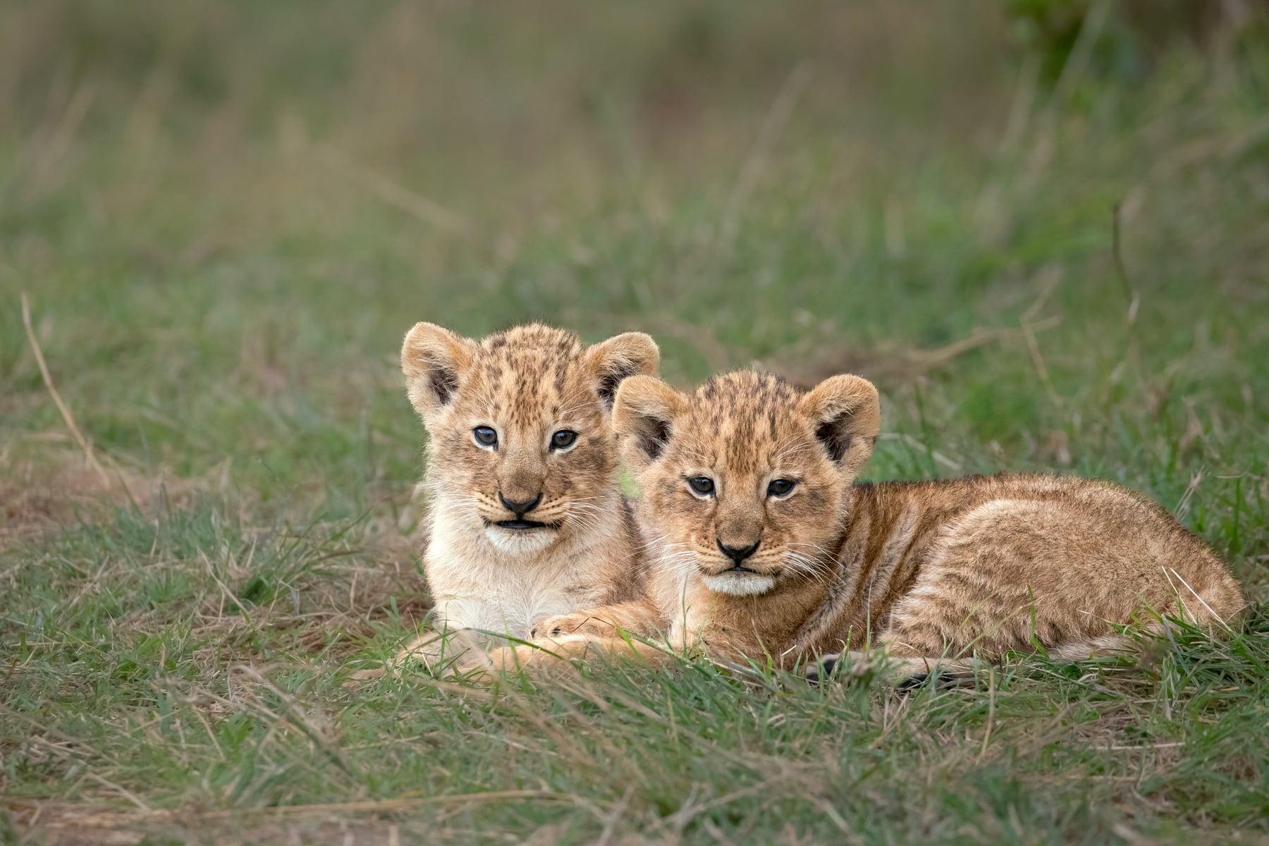 Group Tours for Budget Travellers