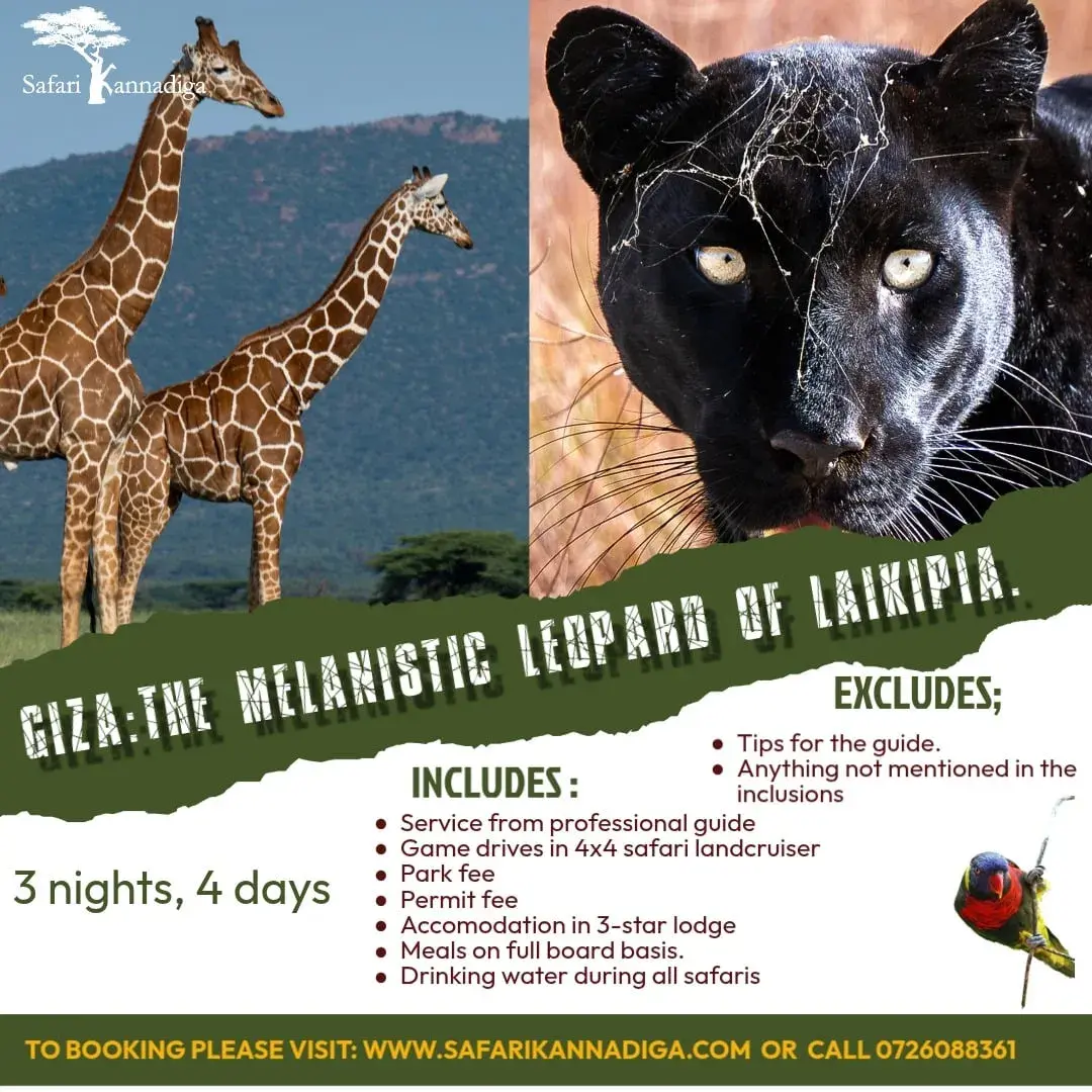 Black panther Expedition